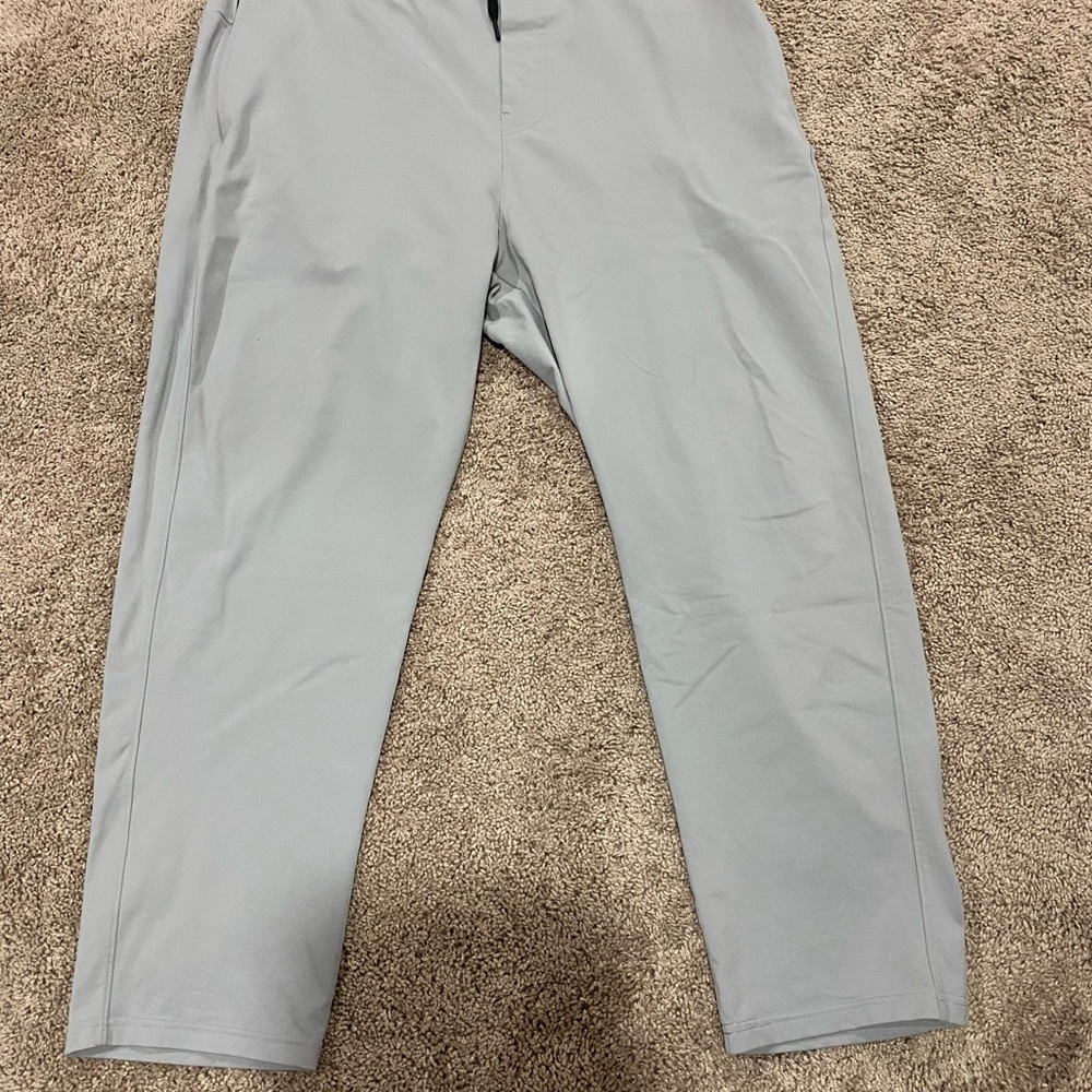 Public Rec 42/30 pants